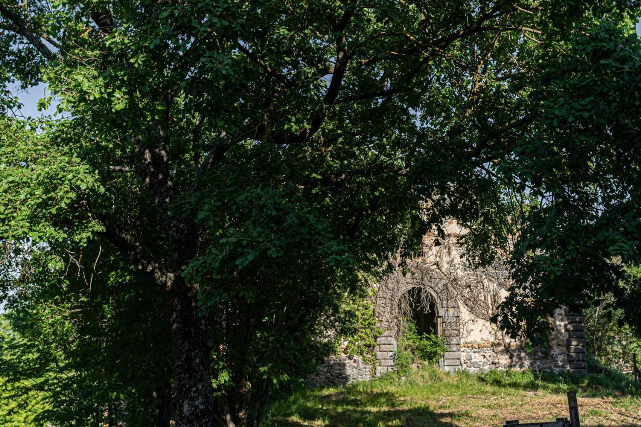 Le Casette Di Luisa Villa Bagnoregio Kültér fotó